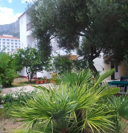 Pension Vice Gradac  Extérieur photo