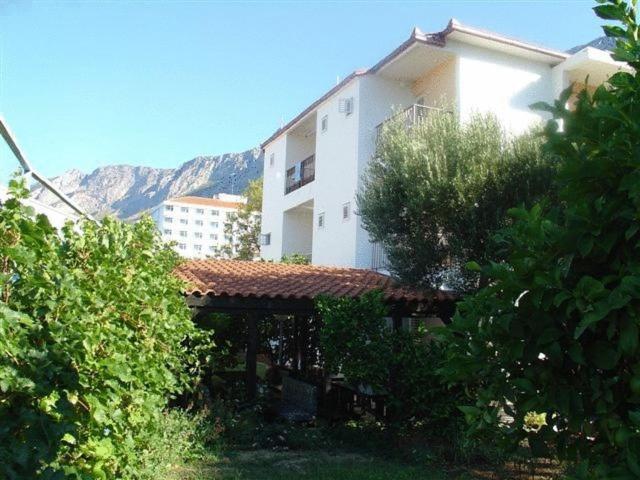 Pension Vice Gradac  Extérieur photo