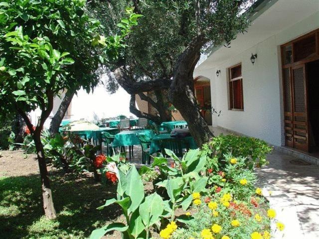 Pension Vice Gradac  Extérieur photo