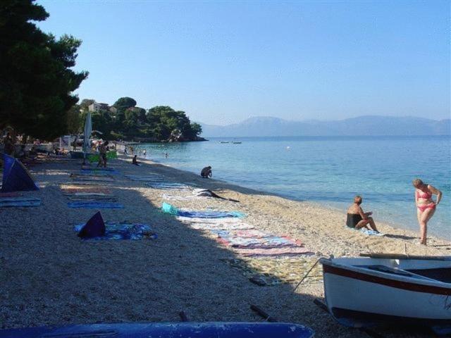 Pension Vice Gradac  Extérieur photo