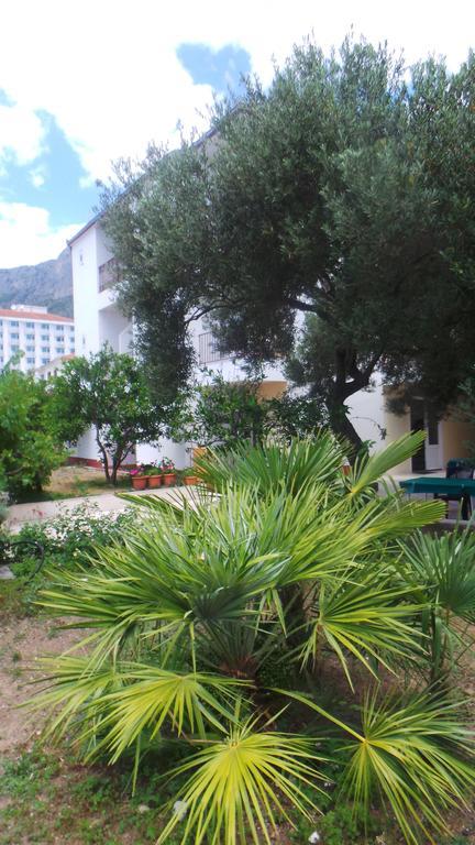 Pension Vice Gradac  Extérieur photo